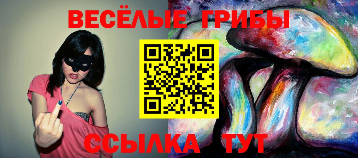Псилоцибиновые грибы GOLDEN TEACHER  Вход с VPN  Елабуга 